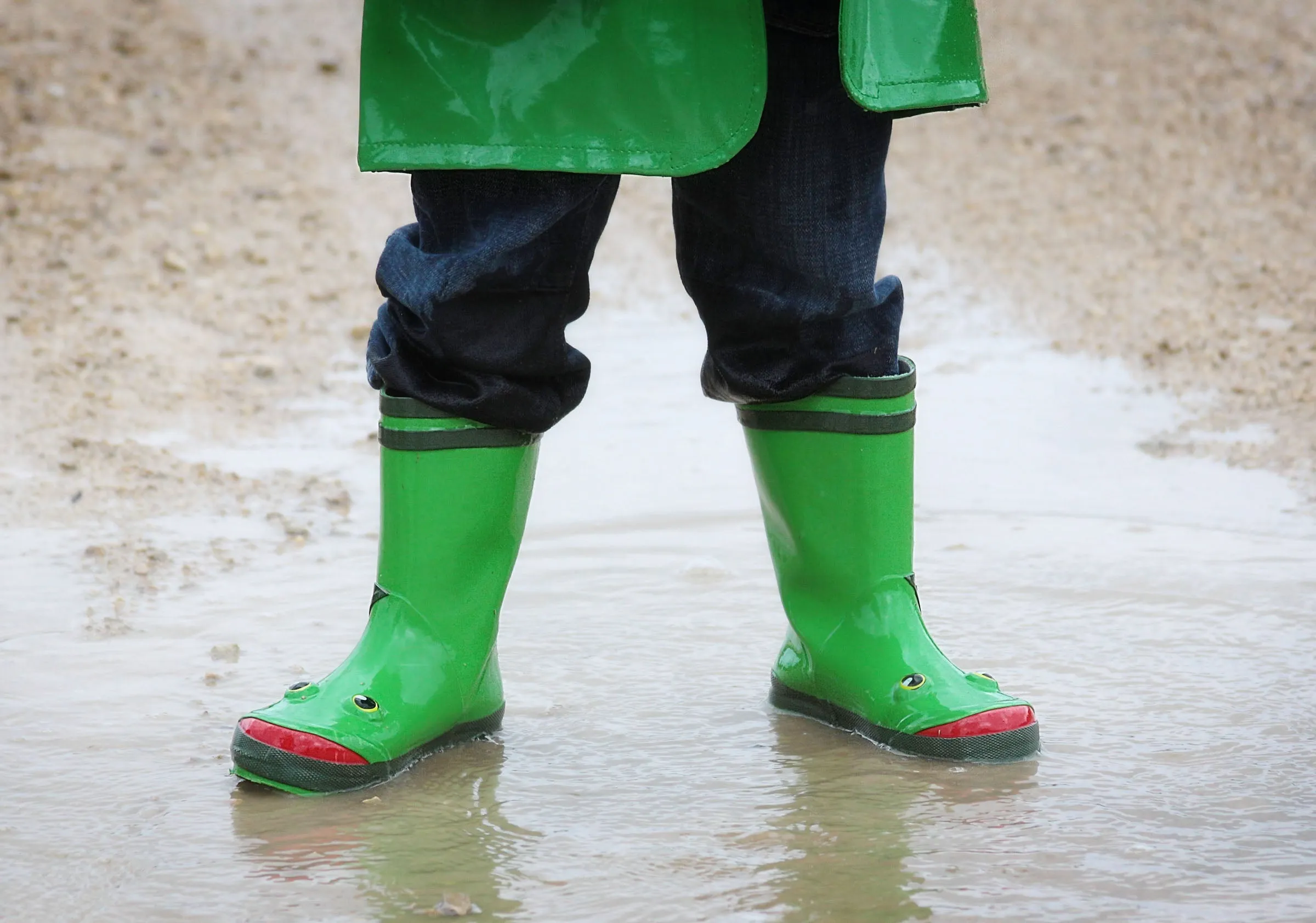 Frog Rainboots